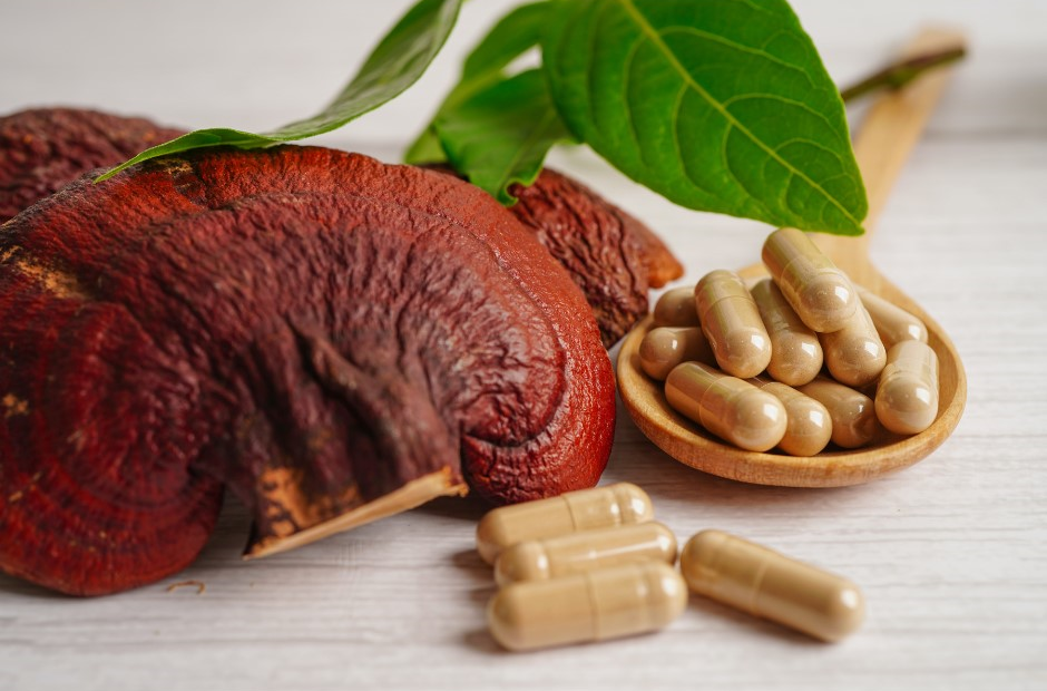 Reishi tablety